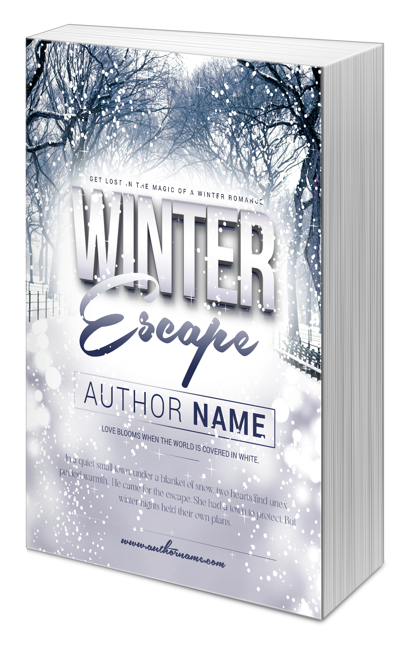 Winter Escape Book Cover